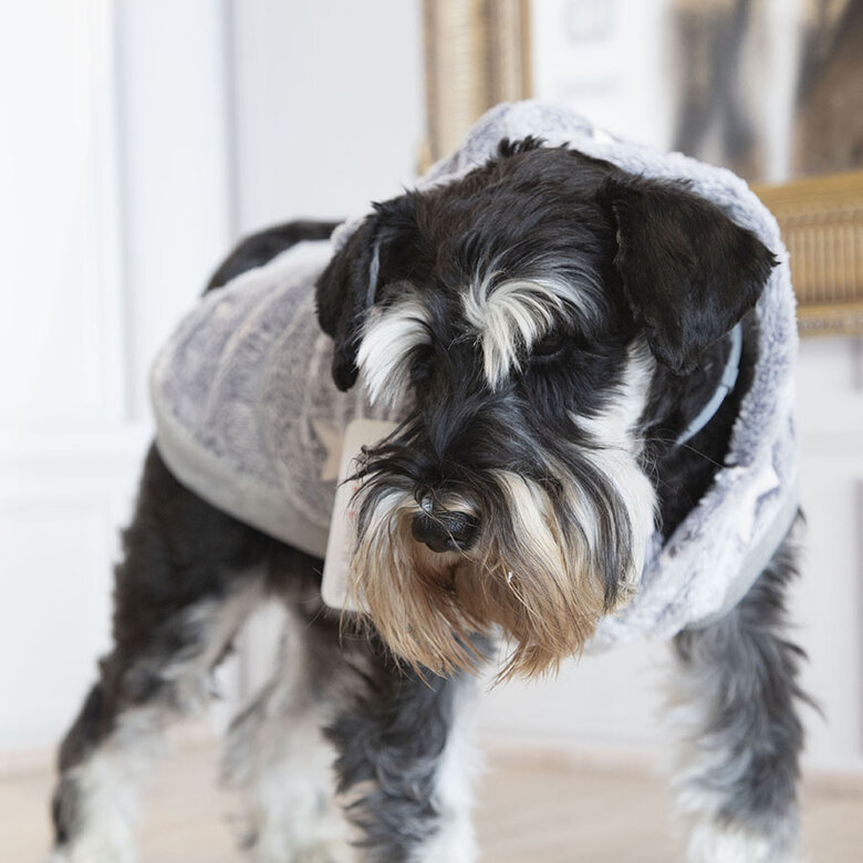 Outech Fleece Sudadera Gris con Estampado de Estrellas para perros, , large image number null